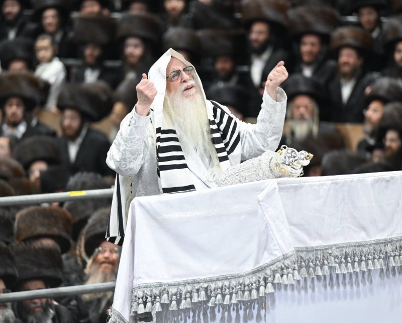 משה גולדשטיין