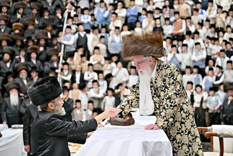 יהושע פרוכטר