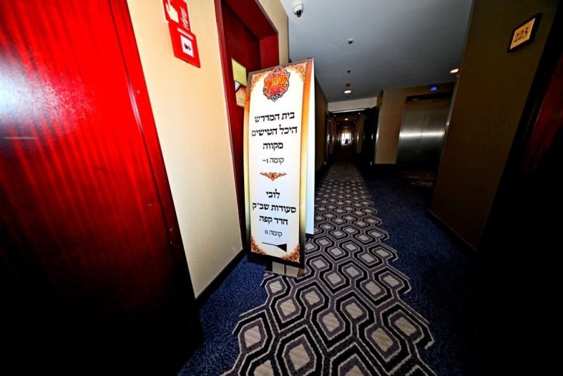 יהושע פרוכטר