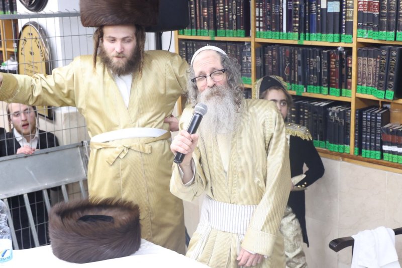 שלומי טריכטר