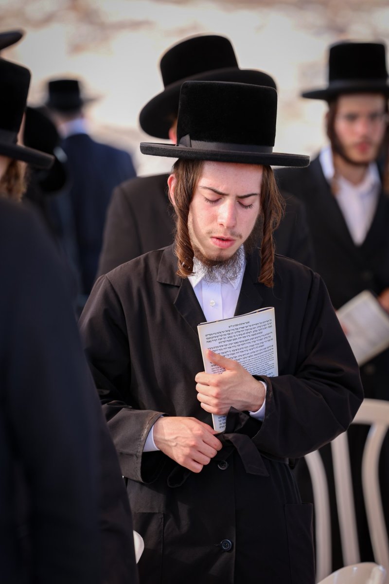 א. אייזנבאך