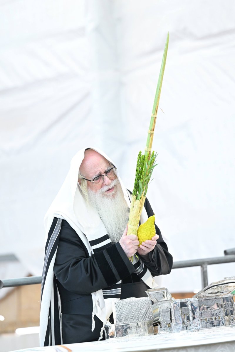 משה גולדשטיין