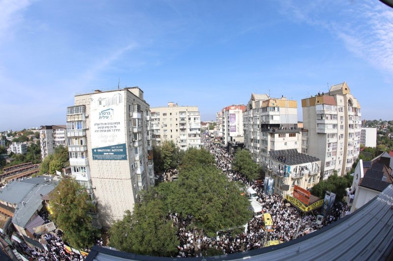 יהודה וויס