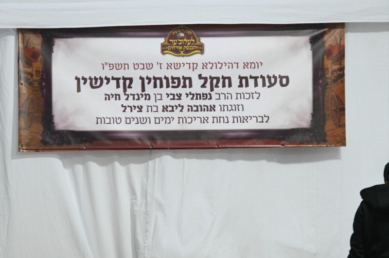 ארי קופרשטוק