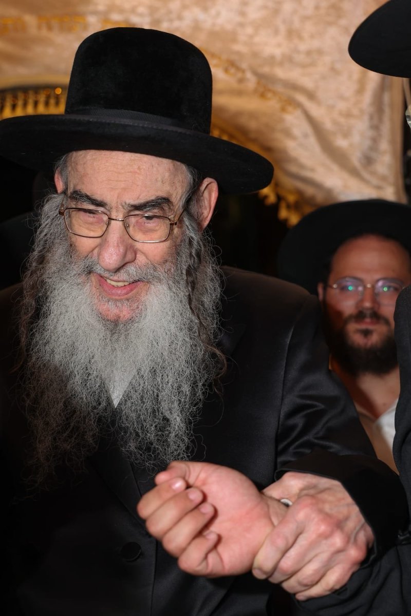 מאיר זלזניק, עזרא טרבלסי, ים לביא