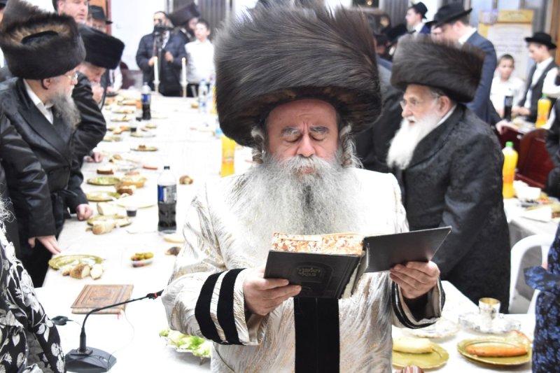 יהודה פרקוביץ