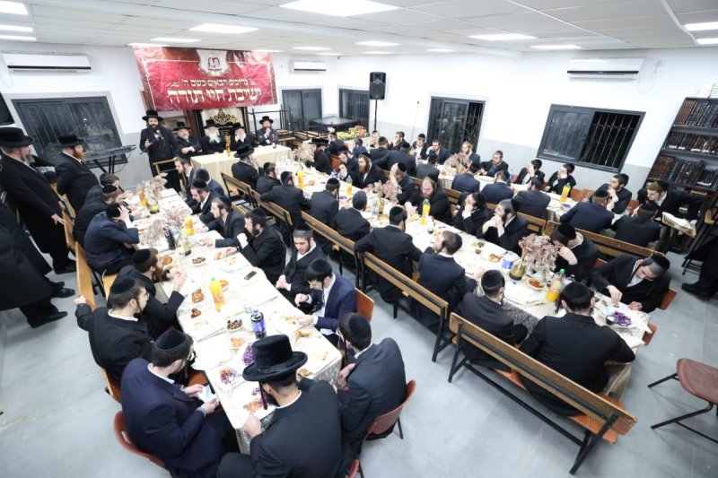 קובי הר צבי