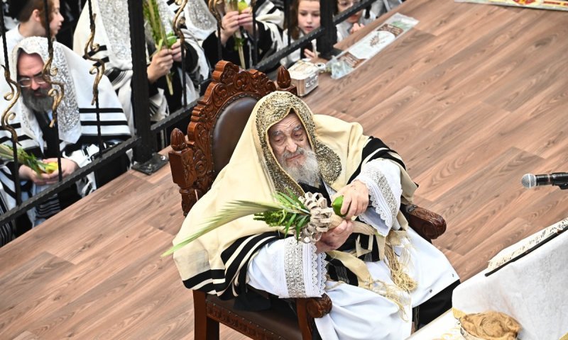 חג מרומם בשיכון: סיקור ותיעוד מלא מימי הסוכות ושמחת תורה בויז'ניץ