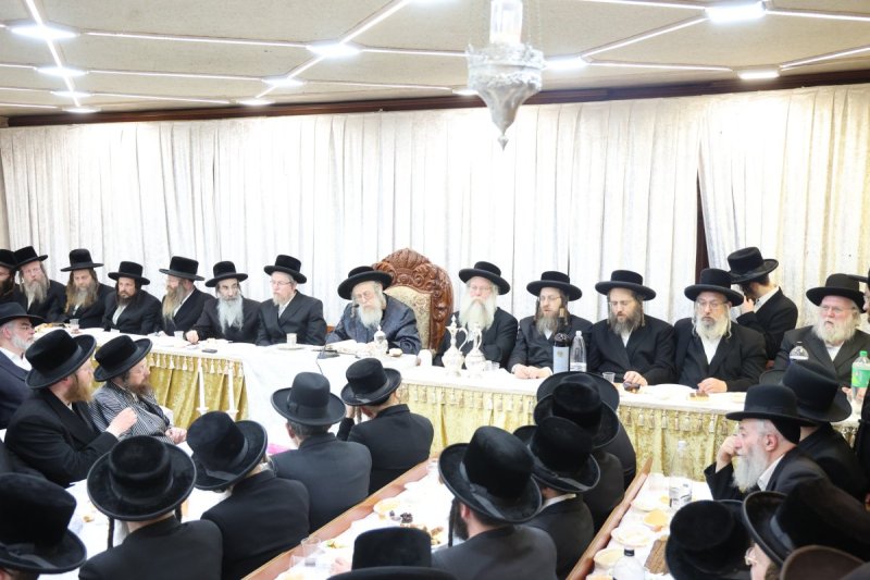 שלומי טריכטר