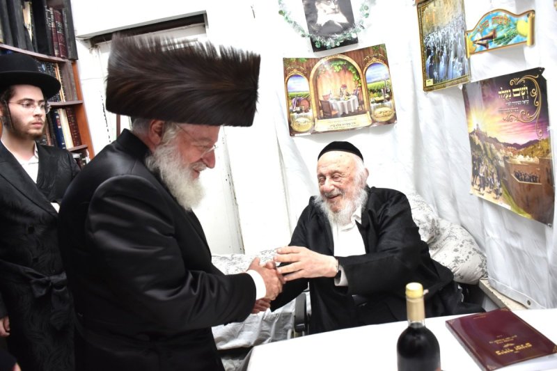 יהודה פרקוביץ