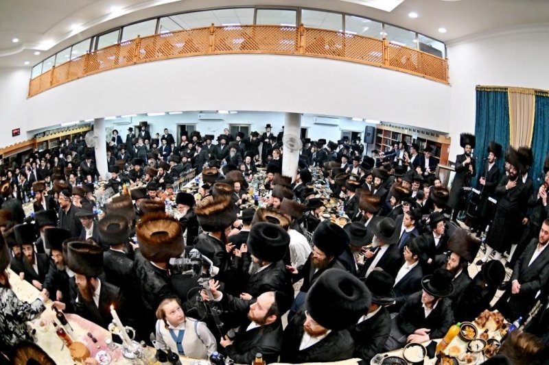 יהושע פרוכטר