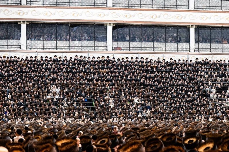 אלי וואהל, איצי מ.