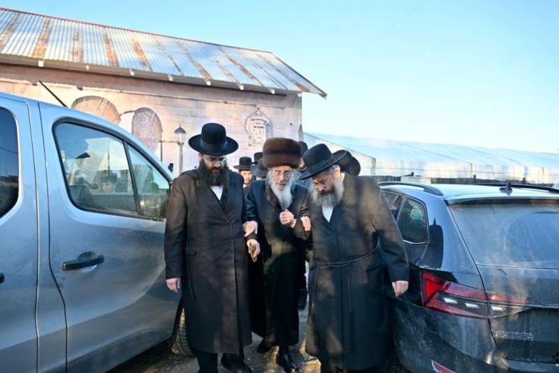 יהושע פרוכטר