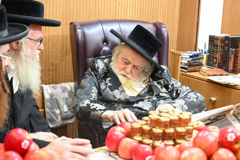 משה גולדשטיין