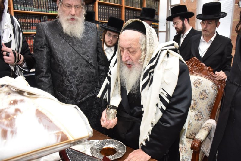 יהודה פרקוביץ