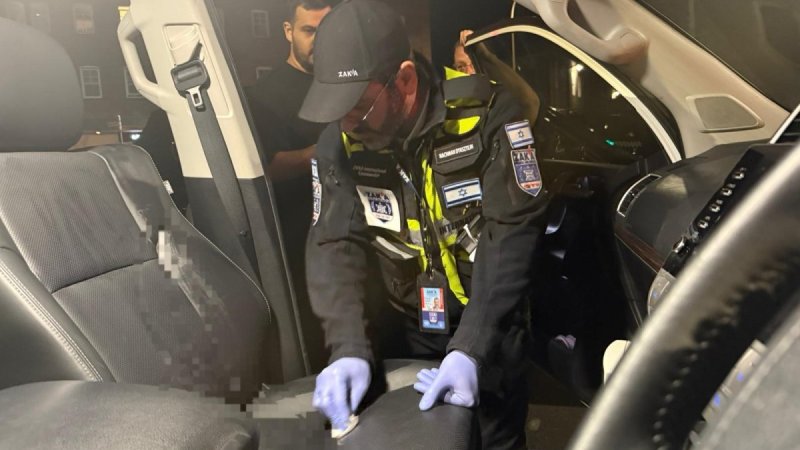 דוברות זק"א