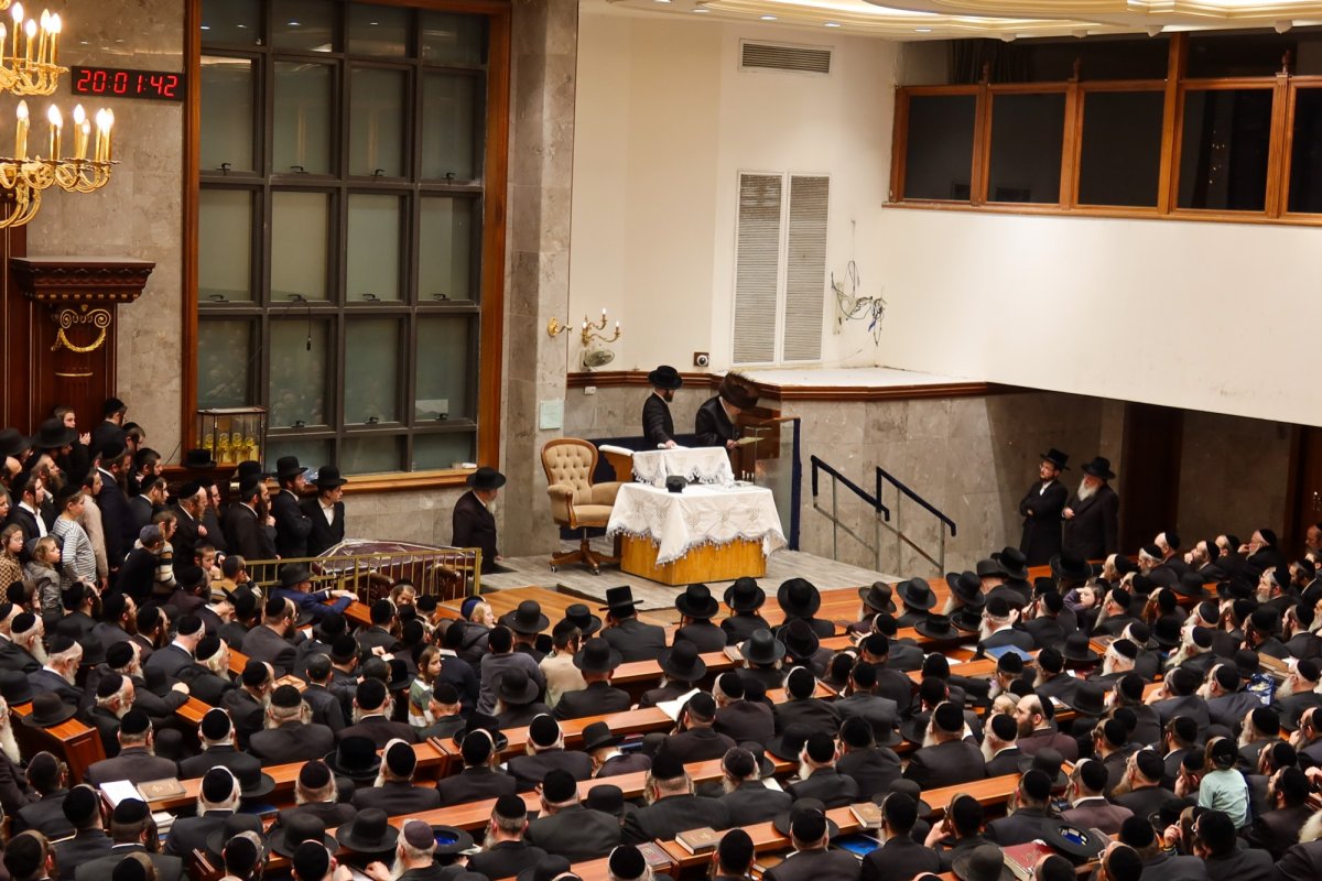 באדיבות המצלם