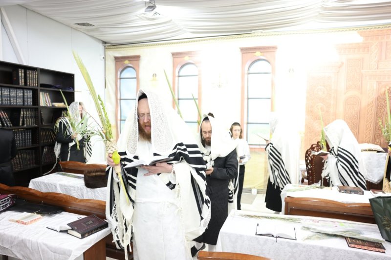 באדיבות המצלם