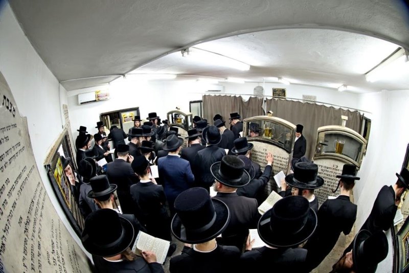 יהושע פרוכטר