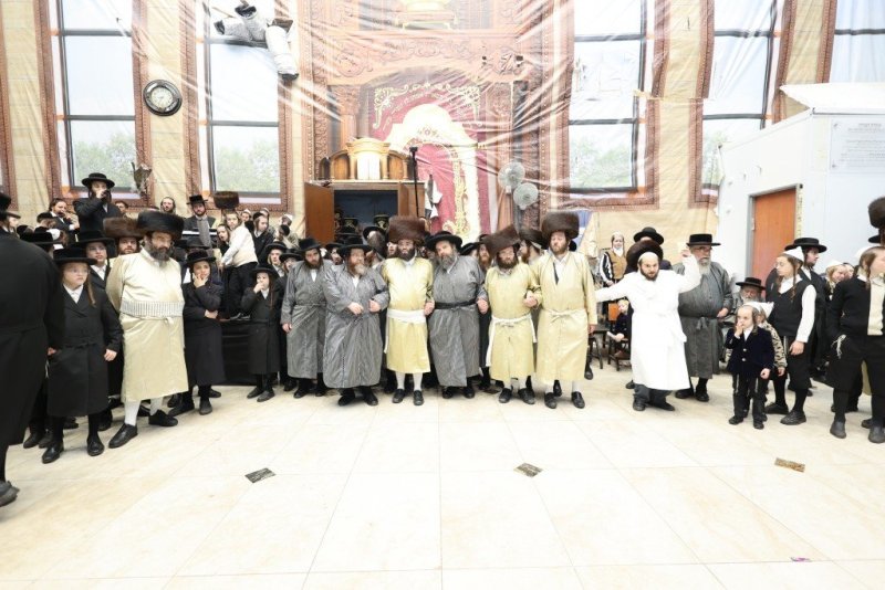 שלומי טריכטר