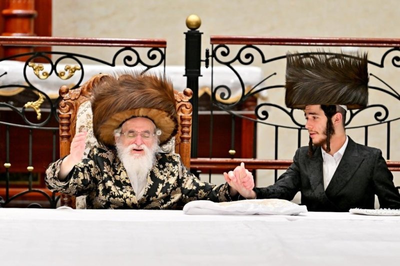 יהושע פרוכטר