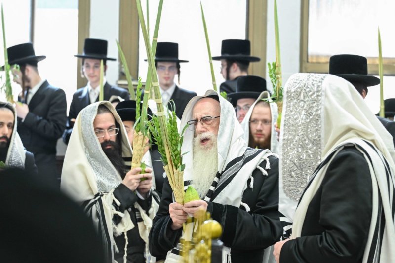 משה גולדשטיין