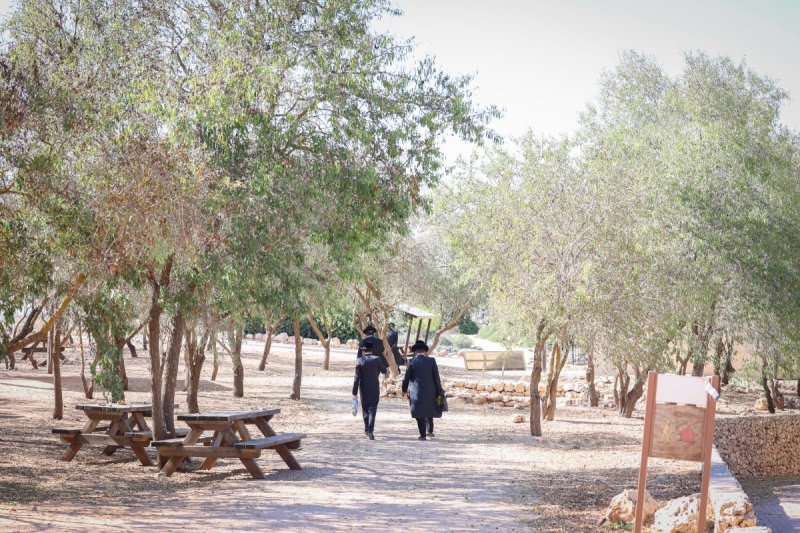 א. אייזנבאך