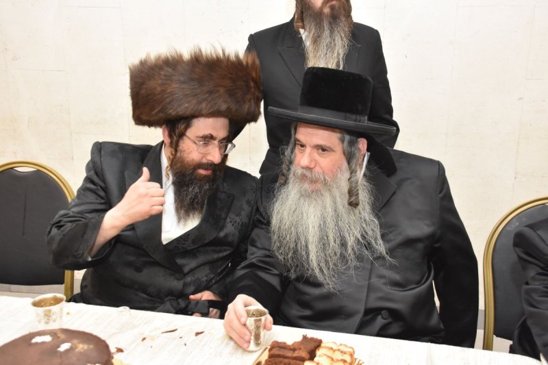 יהודה פרקוביץ