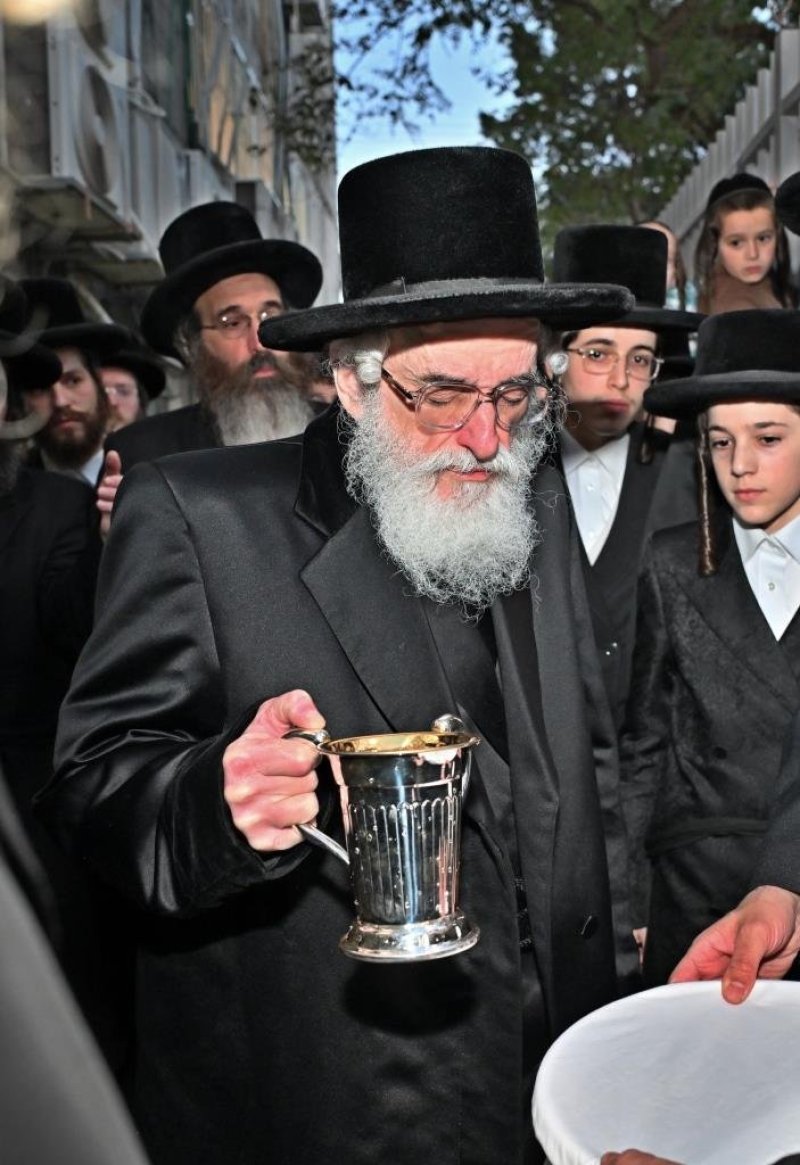 יהושע פרוכטר