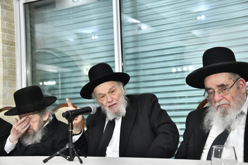 שוקי לרר ומאיר זלזניק