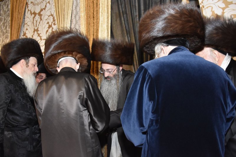 יהודה פרקוביץ