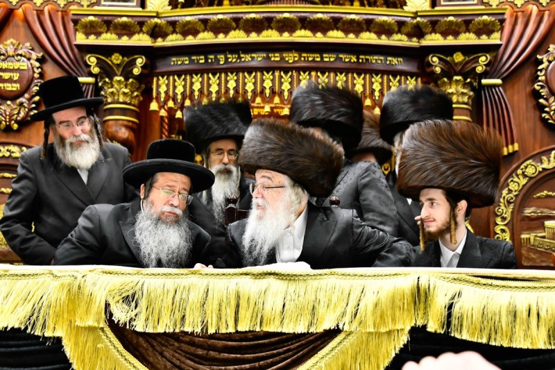 שוקי לרר