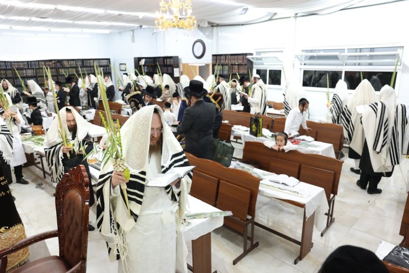 באדיבות המצלם