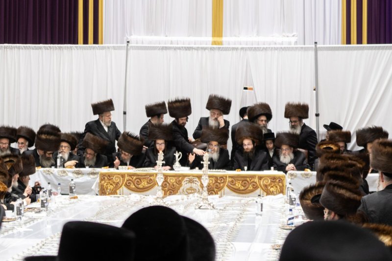 יוסי גולדברגר