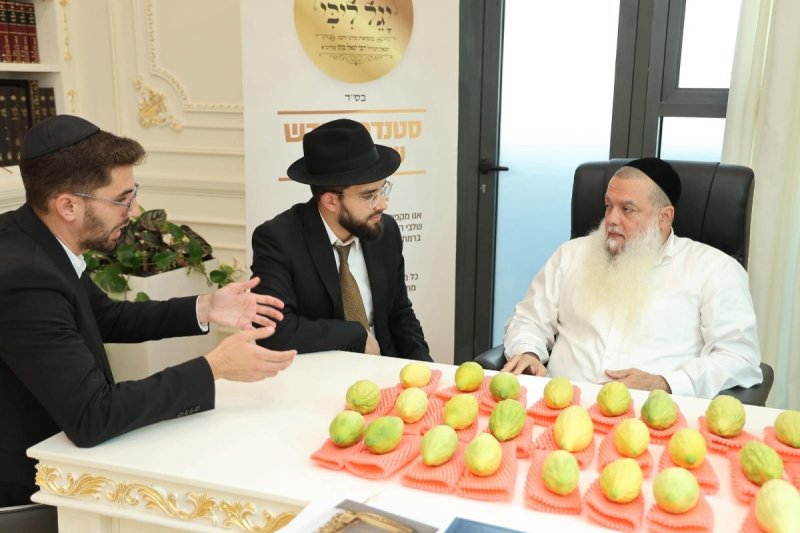 נועם אליהו