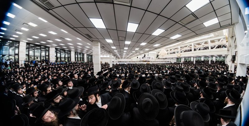 י. שטיין