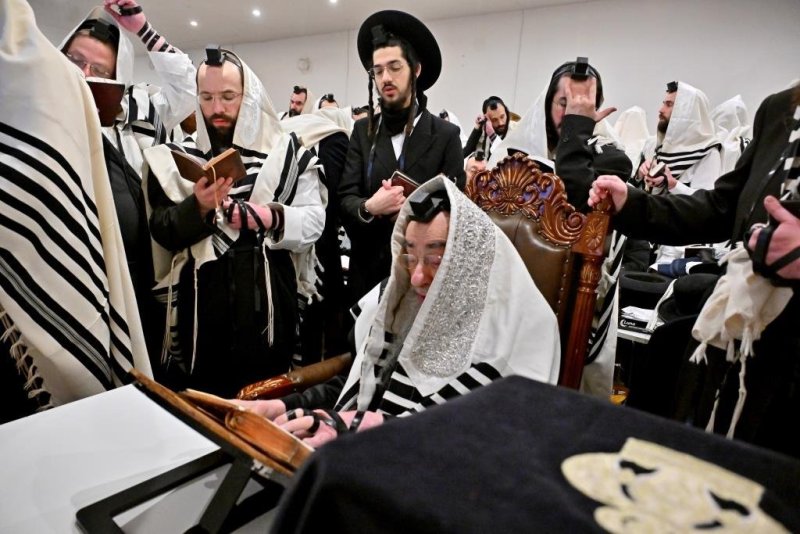 יהושע פרוכטר