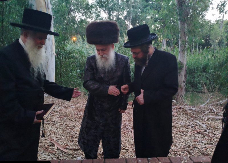 איתי קצב