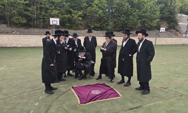 אחרי שנים של חילול: בית העלמין של האדמו"ר מקוזמיר יחזור לקהילה