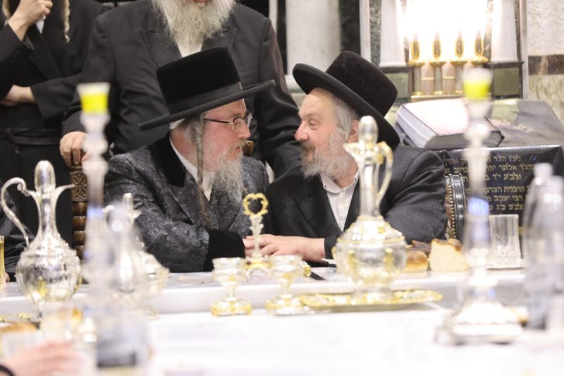 נתי אמרגי