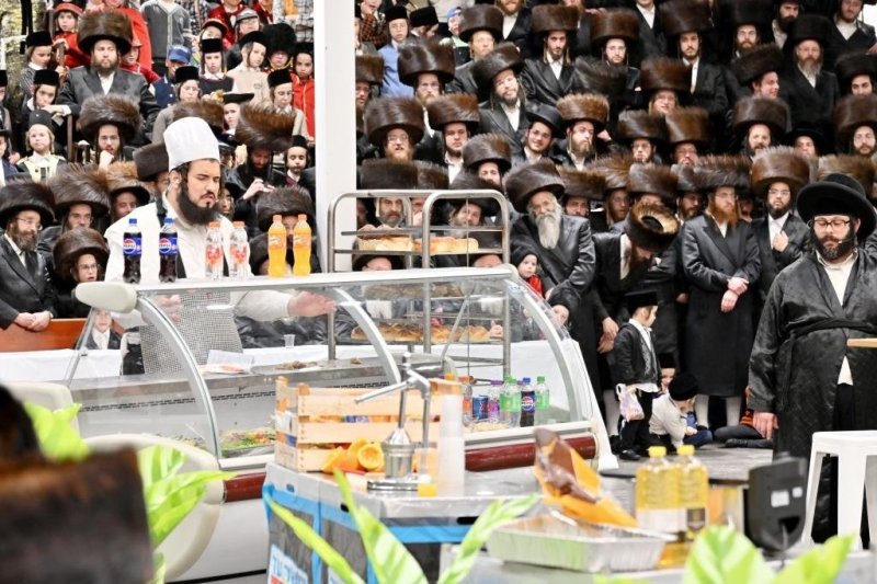 יהושע פרוכטר