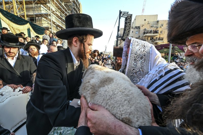משה גולדשטיין