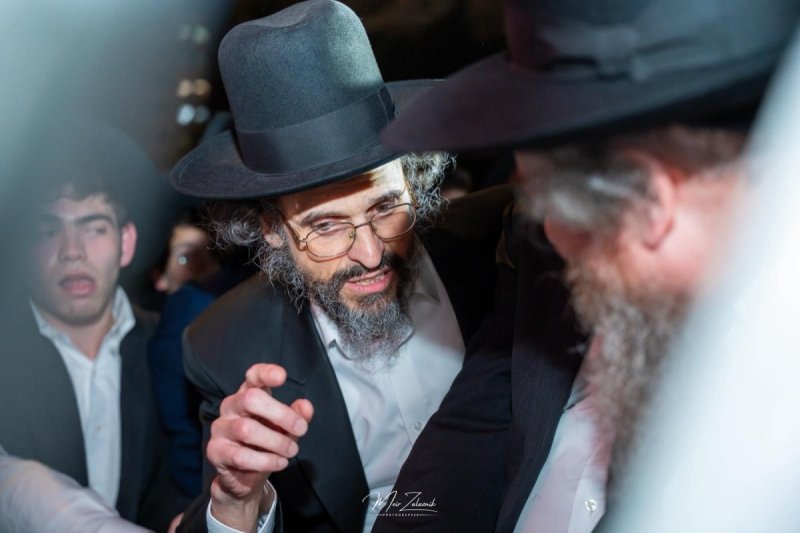 מאיר זלזניק