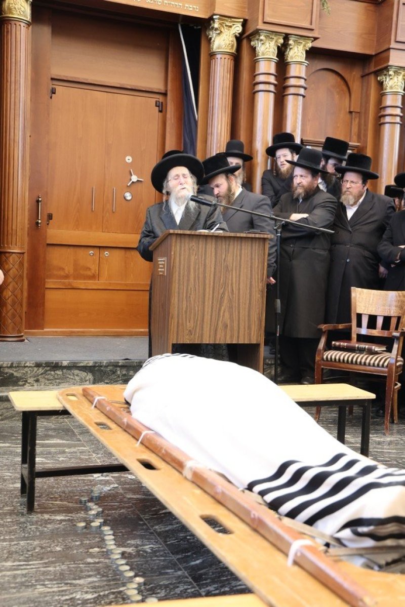 שלומי טריכטר