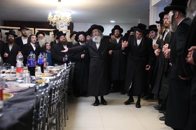 דוד כהן - פלאש 90