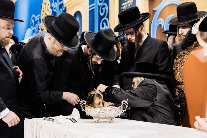 י. שטיין, שלום קליין ושלום שוורץ
