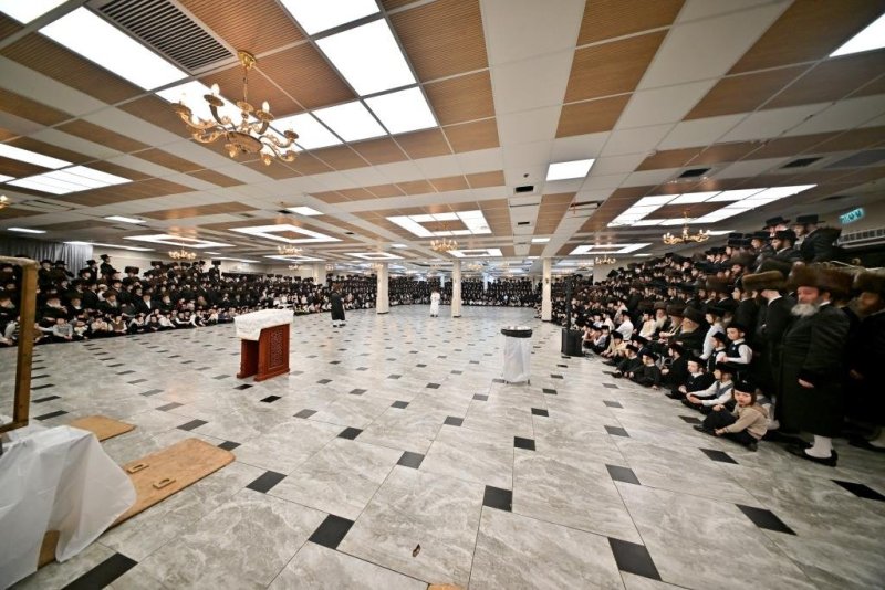 יהושע פרוכטר