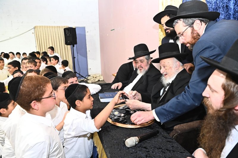 שוקי לרר