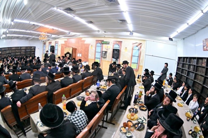 יהושע פרוכטר