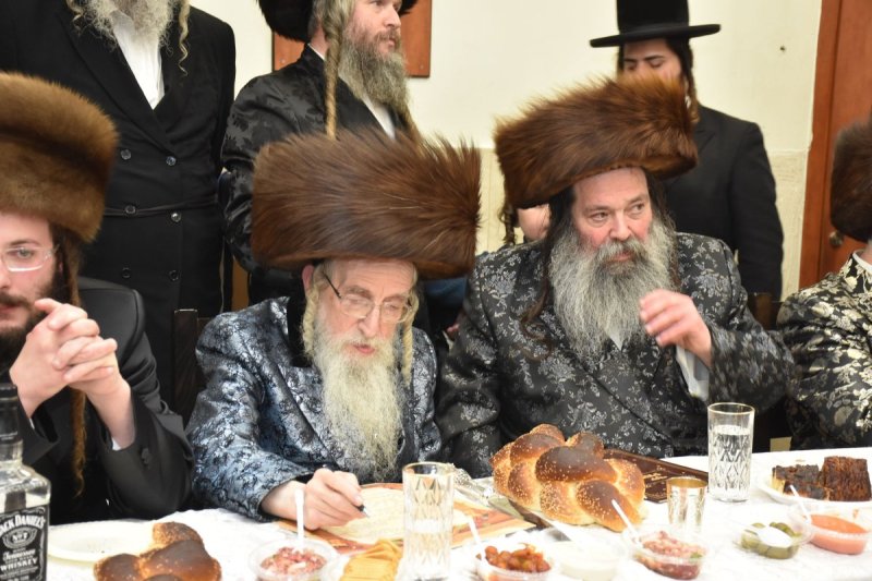 יהודה פרקוביץ